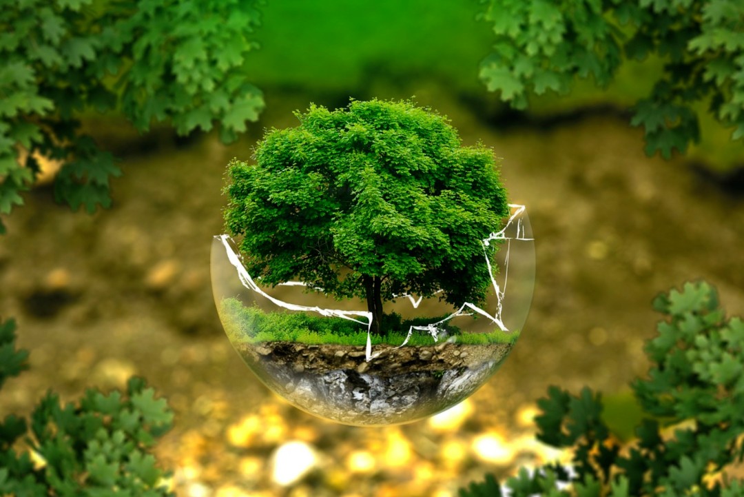 1615426324188338.jpg 2.jpg